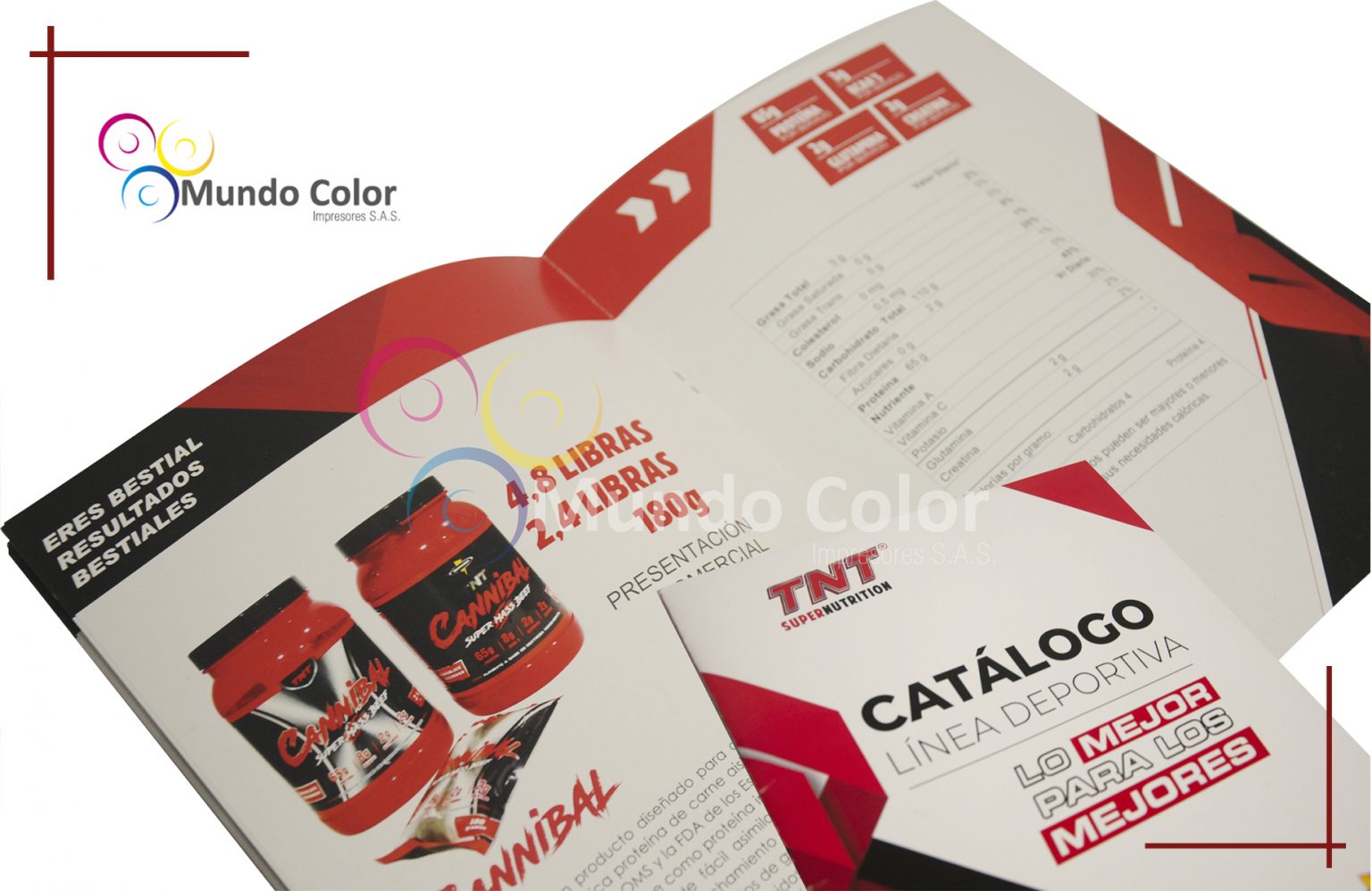 Catalogo TNT